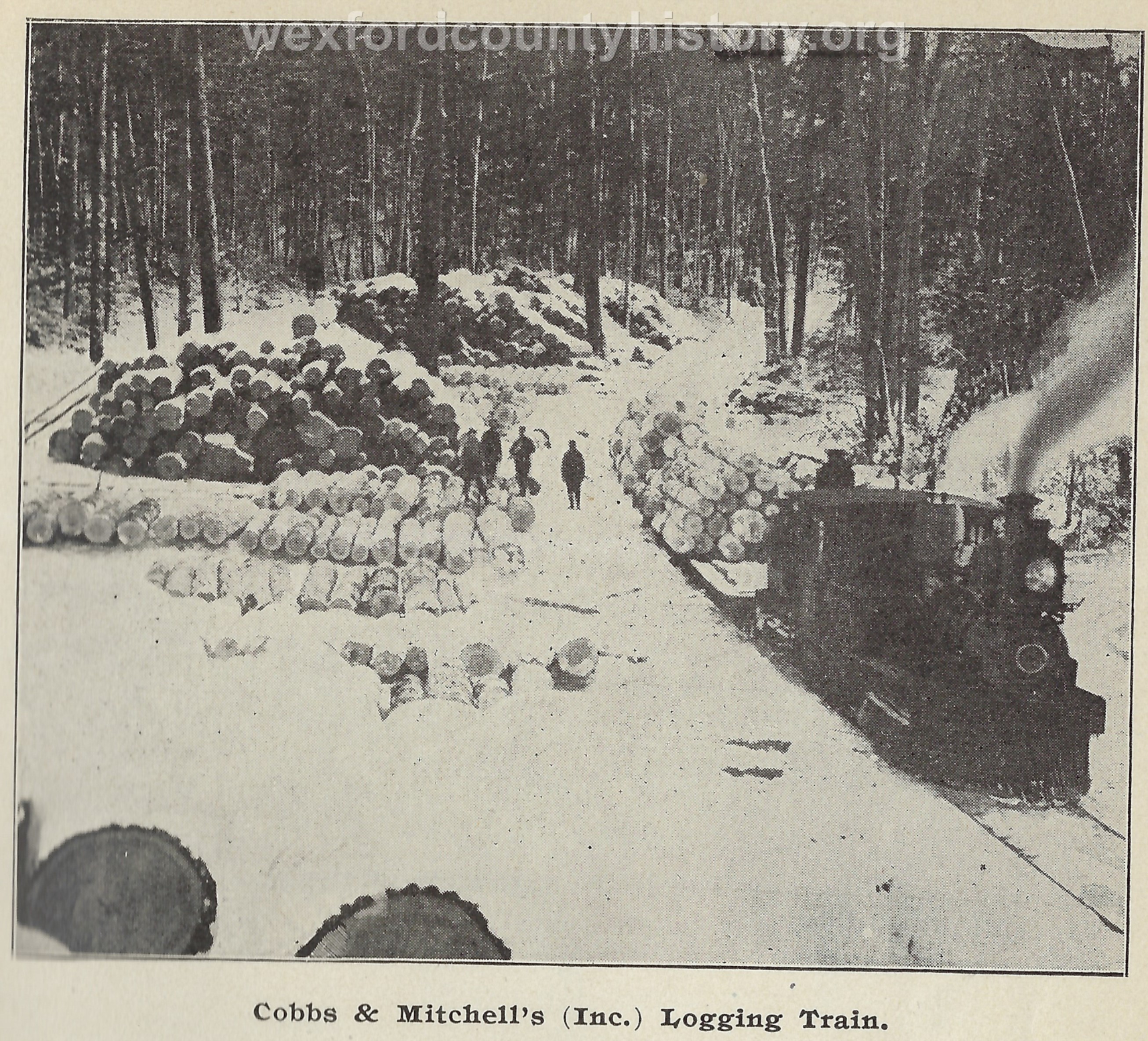 Cadillac-Railroad-Cobbs-And-Mitchells-Logging-Train