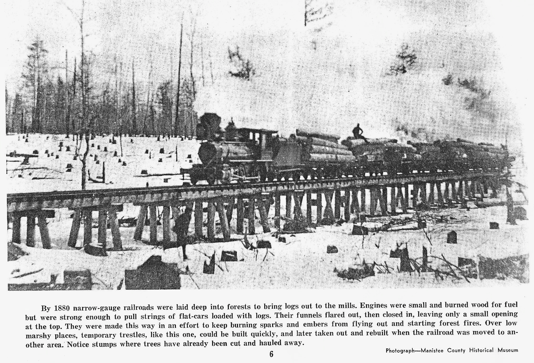 Logging Train on an Elevated Track
