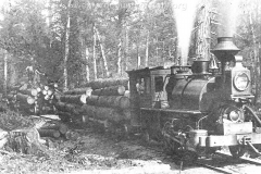 Cadillac-Railroad-Cummer-Lumber-Compnay-Shay-Locomotive-TR1ts749
