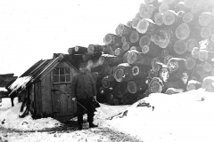 Stacked Logs