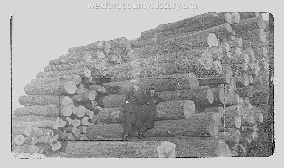 Cadillac-Lumber-Logs-Ready-For-Processing