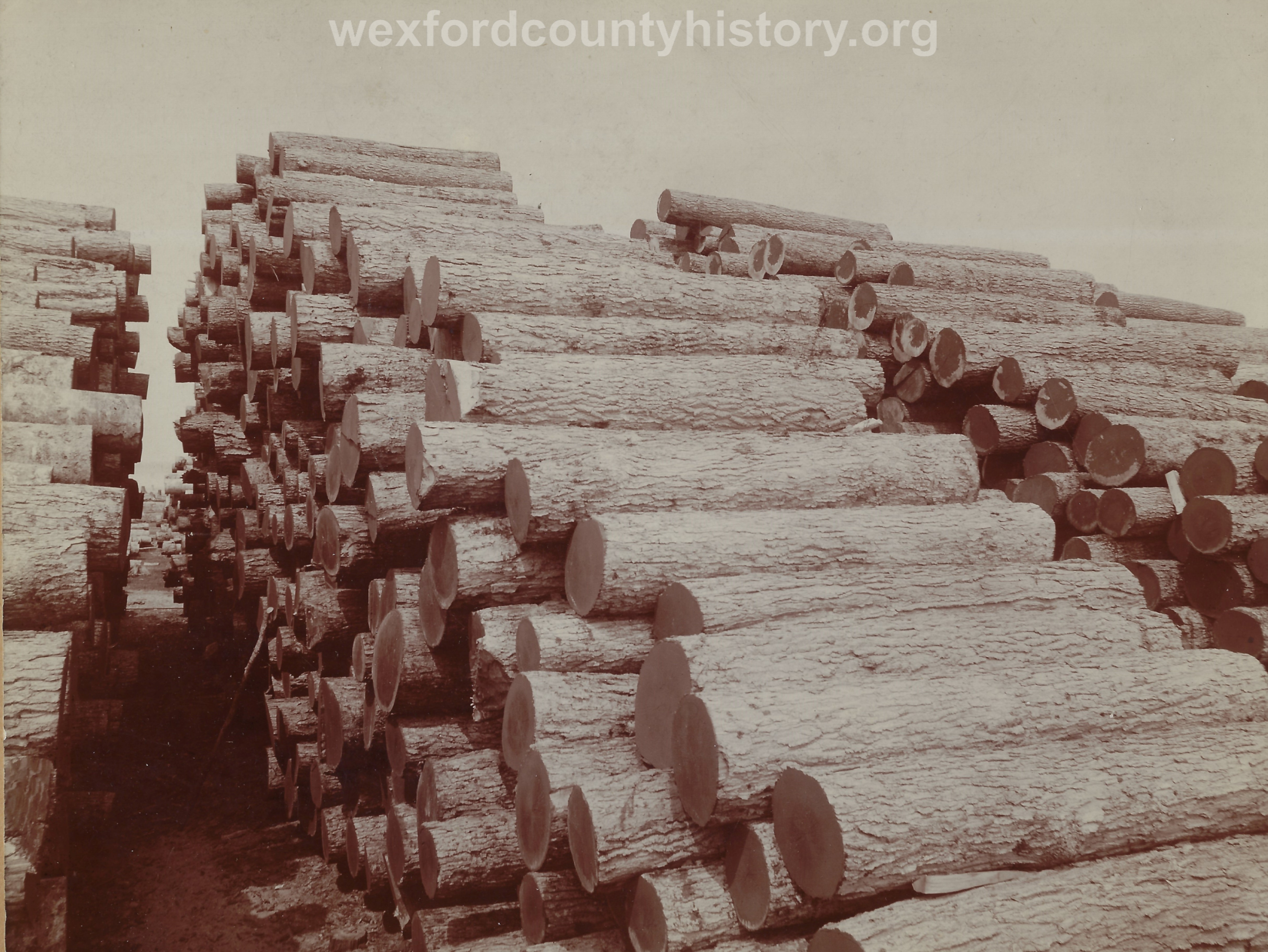 Cadillac-Lumber-Pile-Of-Logs-3