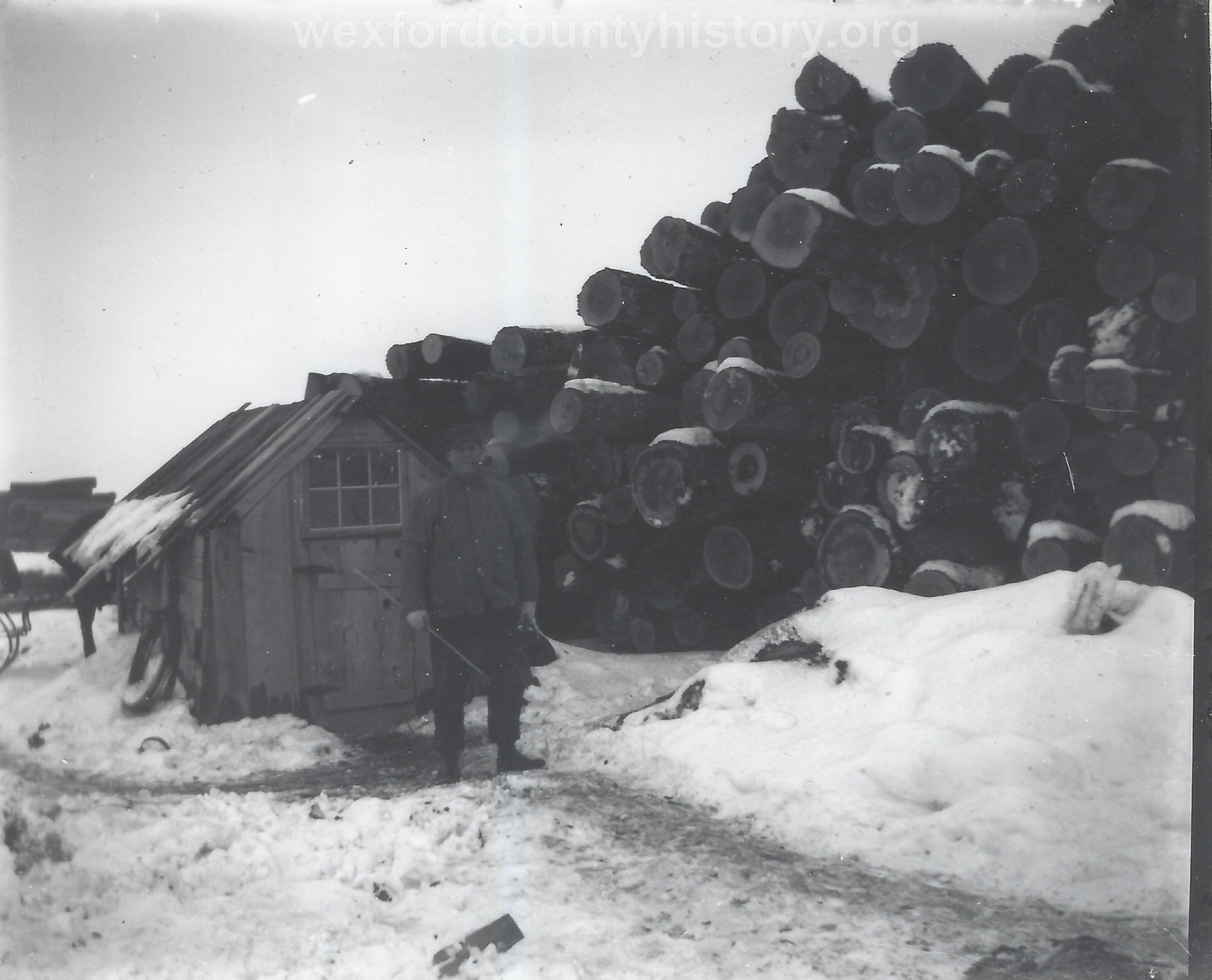 Cadillac-Lumber-Pile-Of-Logs-With-Man-And-Measuring-Stick