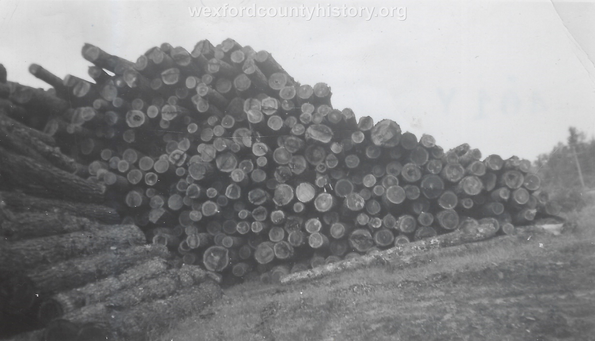 Cadillac-Lumber-Pile-Of-Logs
