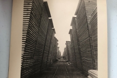 Cadillac-Lumber-Cummer-Lumber-Company-Lumber-Storage-Yard-circa-1891