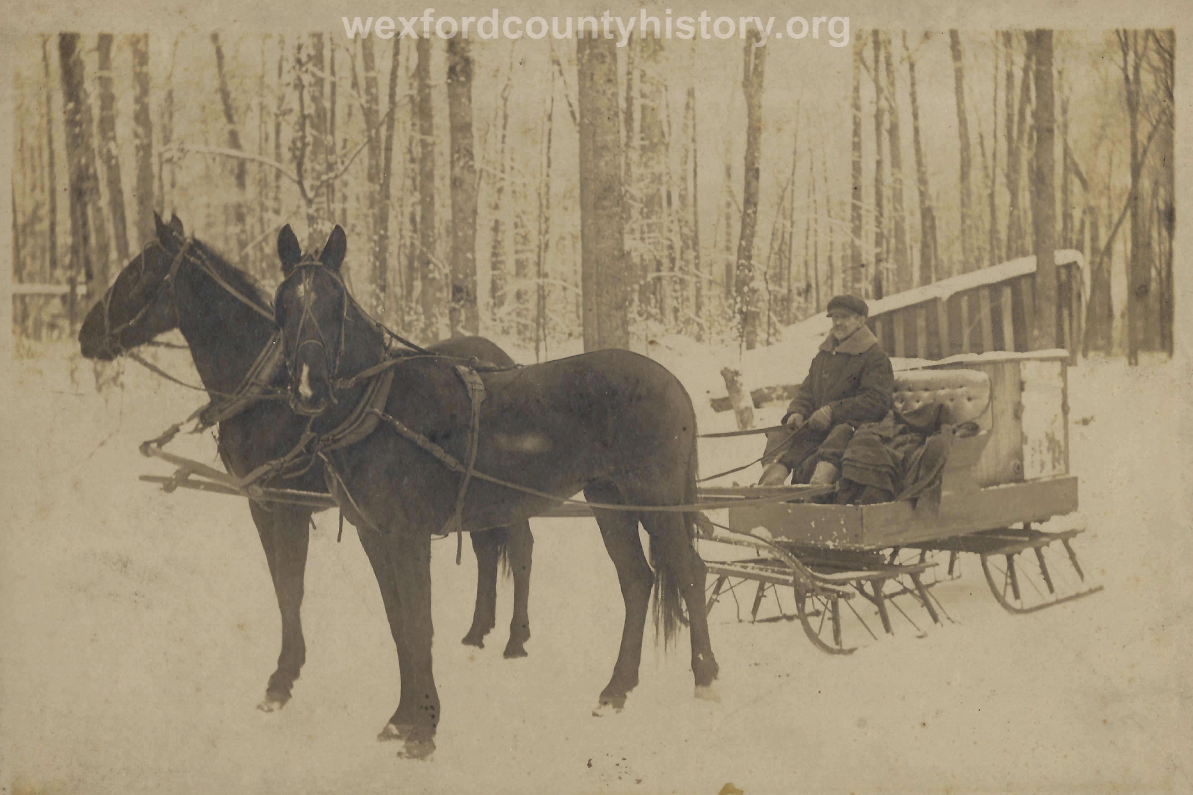 Man On Sleigh In The Woods