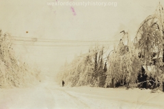 1922 Ice Storm - Trees Weighed Down By Ice