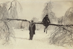 1922 Ice Storm - Tree