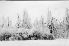 1922 Ice Storm - City Park