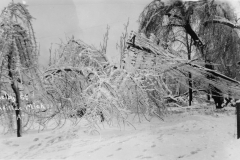 1922 Ice Storm - Shelby Street