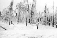 1922 Ice Storm - Indian Trail Camp