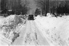 Snow Near Lake Mitchell