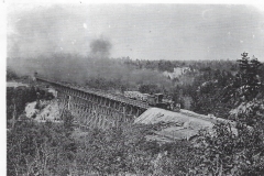 Hoxeyville-Railroad-Manistee-And-Luther-Railroad-Bridge
